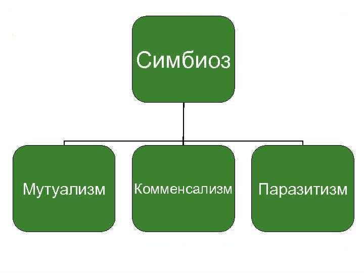 Решение рисунок 1