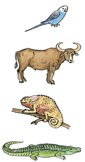 Задание рисунок 1