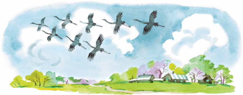 Задание рисунок 1