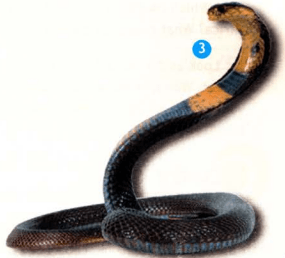 Задание рисунок 3